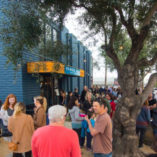 Taproom yard saturday