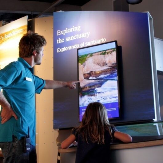 Interactive-docent-1