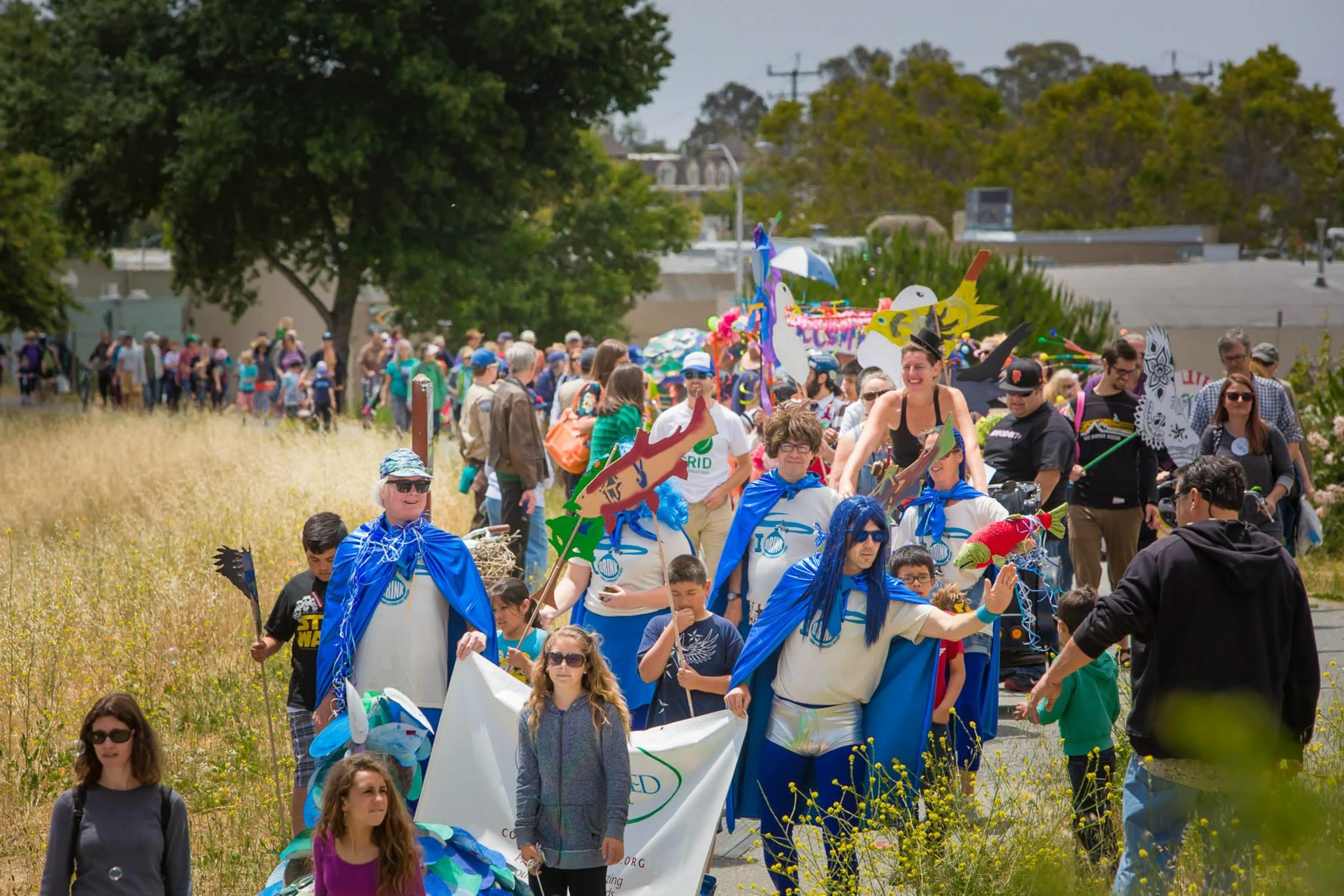 Ebb & Flow 2015