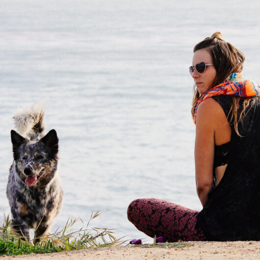 A dog and girl on West Cliff in Santa Cruz