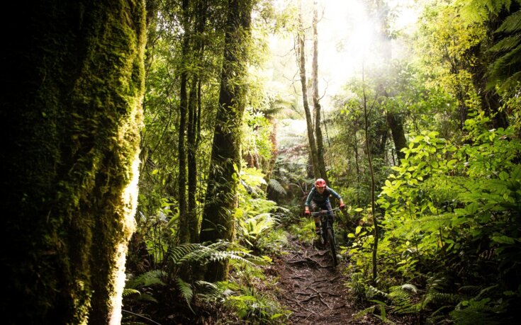 Building Stewardship One Trail at a Time
